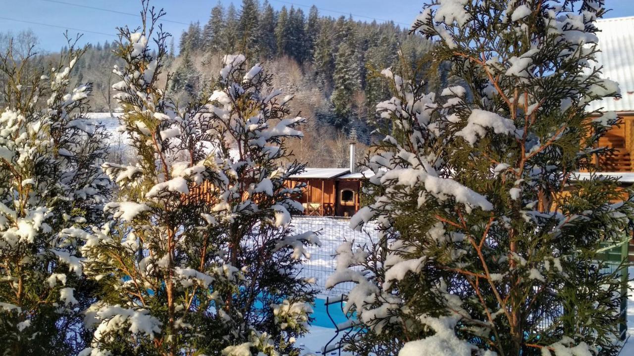 Mini Hotel Zakrut Татарив Екстериор снимка